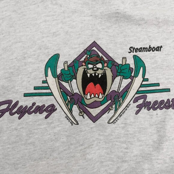 Vintage 1994 TAZ Looney Tunes on Tultex Distressed Sweatshirt - Picture 3 of 6